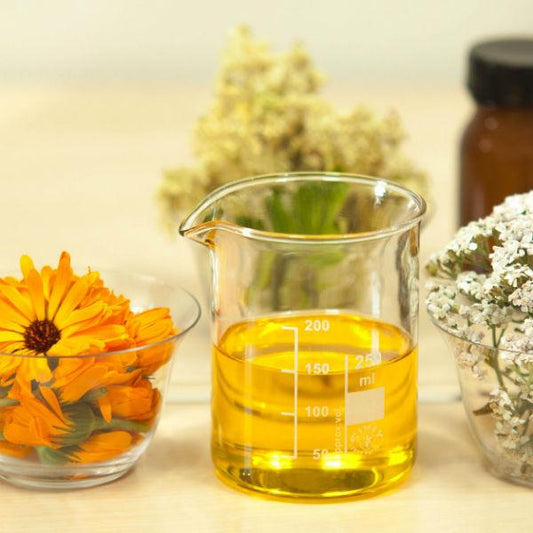 Jojoba Oil: Your Skin’s Best Friend